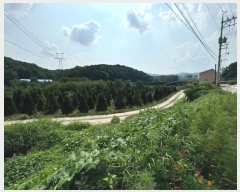  2024Ÿ��82079 ��� ���ν� ó�α� ����� �״ɸ� 602-1     ����(��)���