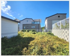  2024Ÿ88176  ν óα   226-9     ð