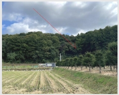  2024Ÿ��92595  �Ӿ߰��