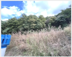  2024Ÿ��92595  �Ӿ߰��