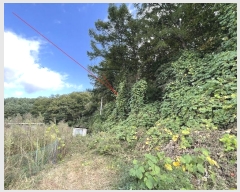  2024Ÿ��92595  �Ӿ߰��