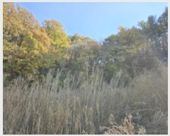  2024Ÿ��92595  �Ӿ߰��