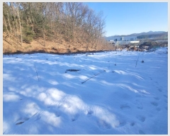  2024Ÿ101819  ν óα ̵  1098     (1)