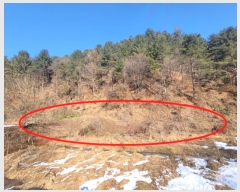  2024Ÿ101819  ν óα ̵  1098     (1)