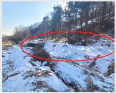  2024Ÿ101819  ν óα ̵  1098     (1)