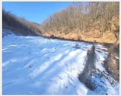  2024Ÿ101819  ν óα ̵  1098     (1)