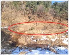  2024Ÿ101819  ν óα ̵  1098     (1)