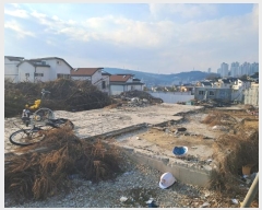  2024Ÿ��104245 ��� ���ν� ���ﱸ ���� 389-13      ����(�Ӿ�)���