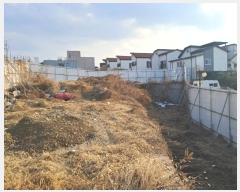  2024Ÿ��104245 ��� ���ν� ���ﱸ ���� 389-13      ����(�Ӿ�)���