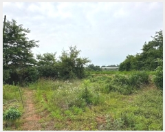  2024Ÿ6808  ȭ  ȣ 1184-3      ()