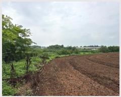  2024Ÿ6808  ȭ  ȣ 1184-3      ()