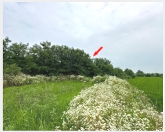  2024Ÿ6808  ȭ  ȣ 1184-3      ()