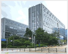  2024Ÿ7955  ν ﱸ õ201 14, 1164ȣ (󼭵,̾ĳＭõ)    ,繫ǰ