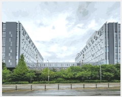  2024Ÿ7955  ν ﱸ õ201 14, 1164ȣ (󼭵,̾ĳＭõ)    ,繫ǰ