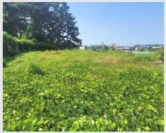  2024Ÿ��9296 ��� ȭ���� ���Ÿ� �۱��� 347-27      ����(�Ӿ�)���