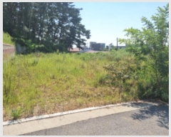  2024Ÿ��9296 ��� ȭ���� ���Ÿ� �۱��� 347-27      ����(�Ӿ�)���