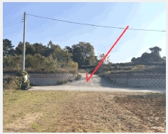  2024Ÿ9821  ȭ Ÿ ۱ 347-10      (Ӿ)