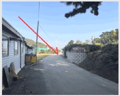  2024Ÿ9821  ȭ Ÿ ۱ 347-10      (Ӿ)