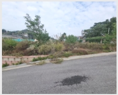  2024Ÿ9821  ȭ Ÿ ۱ 347-10      (Ӿ)