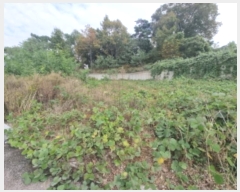  2024Ÿ9821  ȭ Ÿ ۱ 347-10      (Ӿ)