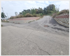  2024Ÿ9821  ȭ Ÿ ۱ 347-10      (Ӿ)