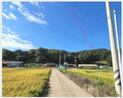  2024Ÿ��9913 ��� ȭ���� ��ȸ� ���̸� ��31-10      ����(�Ӿ�)���