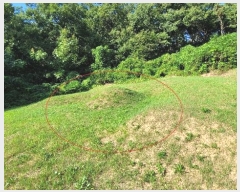  2024Ÿ��9913 ��� ȭ���� ��ȸ� ���̸� ��31-10      ����(�Ӿ�)���