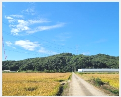  2024Ÿ��9913 ��� ȭ���� ��ȸ� ���̸� ��31-10      ����(�Ӿ�)���