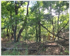  2024Ÿ��9913 ��� ȭ���� ��ȸ� ���̸� ��31-10      ����(�Ӿ�)���