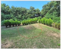  2024Ÿ��9913 ��� ȭ���� ��ȸ� ���̸� ��31-10      ����(�Ӿ�)���