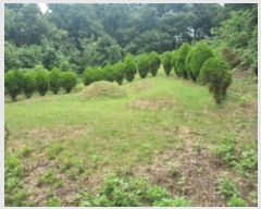  2024Ÿ��9913 ��� ȭ���� ��ȸ� ���̸� ��31-10      ����(�Ӿ�)���