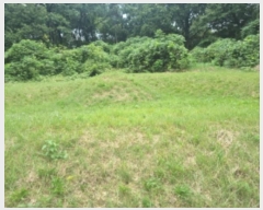  2024Ÿ��9913 ��� ȭ���� ��ȸ� ���̸� ��31-10      ����(�Ӿ�)���