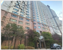  2024Ÿ11329  ν  2 251, 209 121201ȣ (,ġ 2)  Ʈ