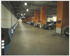  2024Ÿ12957   뱸 ſ 55, 絿 8812ȣ (ŵ,ũƮĻ)   Ʈ