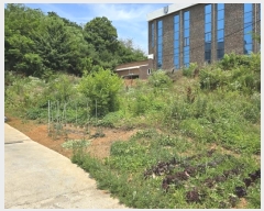  2024Ÿ73624  ȭ Ÿ ȭ 375-11      (Ӿ)