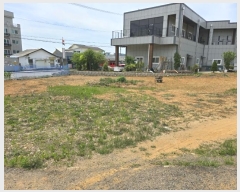  2024Ÿ73624  ȭ Ÿ ȭ 375-11      (Ӿ)