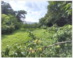  2024Ÿ76982  ν ﱸ õ 64-1      (Ӿ)