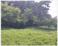  2024Ÿ76982  ν ﱸ õ 64-1      (Ӿ)