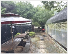  2024Ÿ76982  ν ﱸ õ 64-1      (Ӿ)