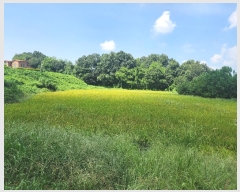  2024Ÿ��83744  �����