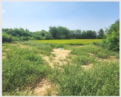  2024Ÿ��83744  �����