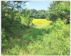  2024Ÿ��83744  �����