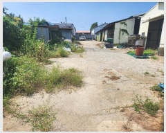  2024Ÿ��83744  �����