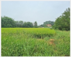  2024Ÿ��83744  �����