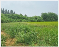  2024Ÿ��83744  �����