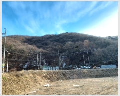  2024Ÿ��97989 ��� ���ν� ó�α� �ذ ��65-5      ����(�Ӿ�)���