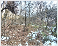  2024Ÿ��97989 ��� ���ν� ó�α� �ذ ��65-5      ����(�Ӿ�)���