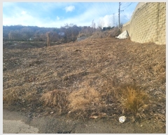  2024Ÿ��102096  ����