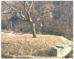  2024Ÿ��102096  ����