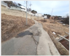  2024Ÿ��102096  ����